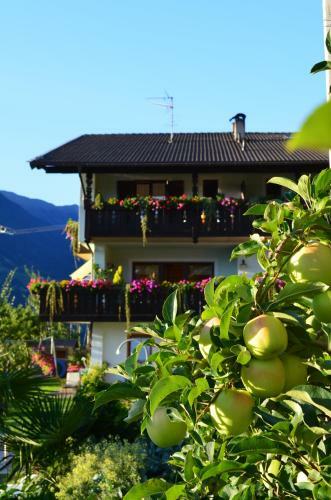 Hostal Zimmervermietung Gr�berhof