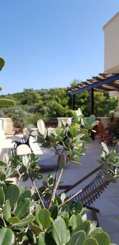 Agroturismo Serra Peccatori