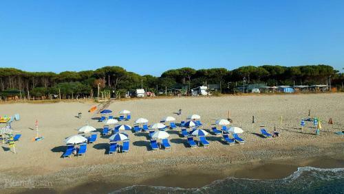 Camping Calabrisella