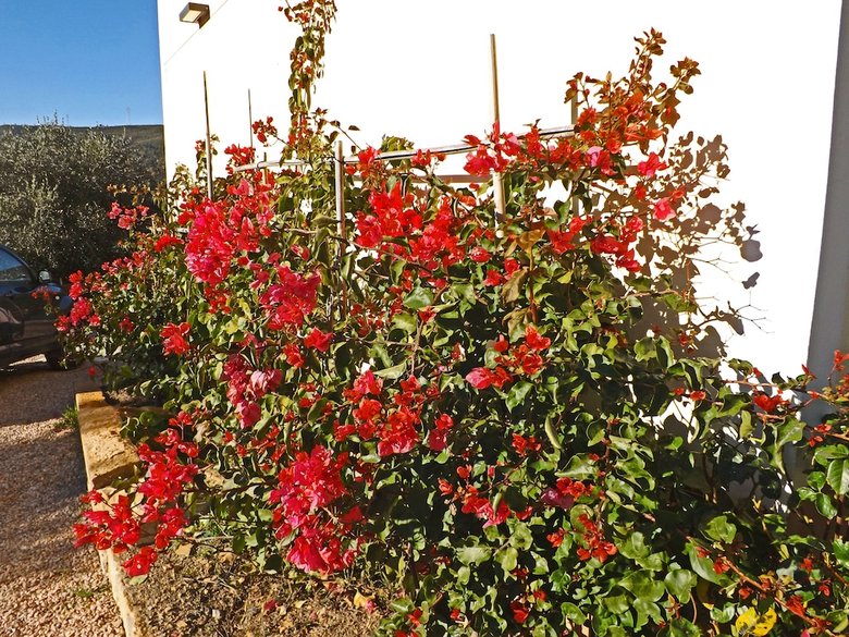 Agroturismo Agriturismo Monaci Templari