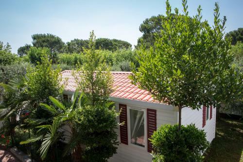 Camping Fossalta