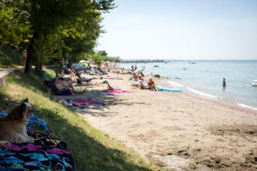 Camping Fossalta