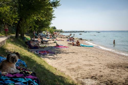Camping Fossalta