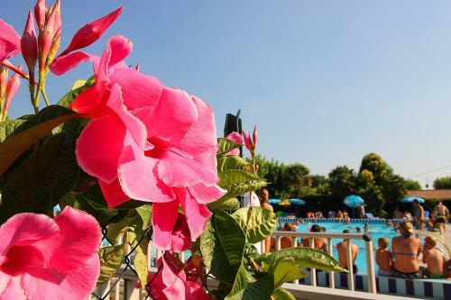 Camping Fossalta