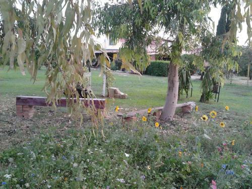 Agrib&b Lemontree Garde'n