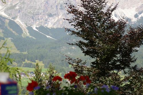 B&B Cristallo