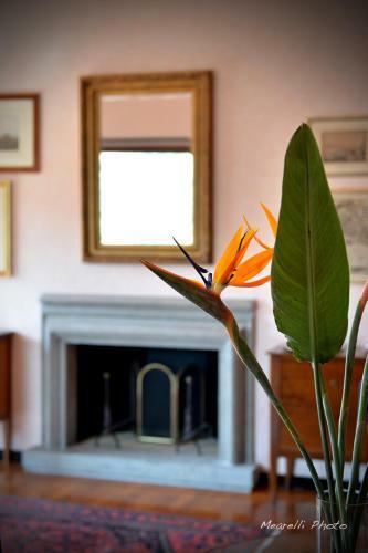 Hostal Soloperte-onlyforyou
