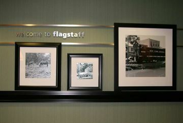 Hotel Hampton Inn & Suites Flagstaff