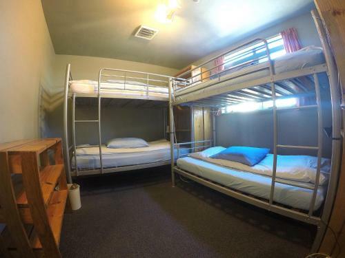 Kiwi House Hostel