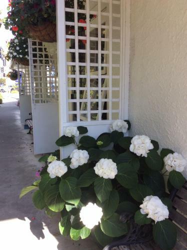 Waimarie On Riverside Motel & Apartments