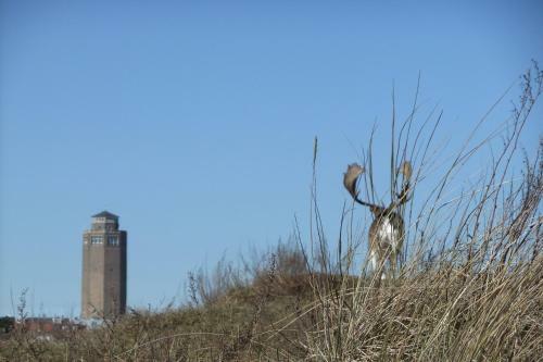 Apartamento Beach Cottage Zandvoort
