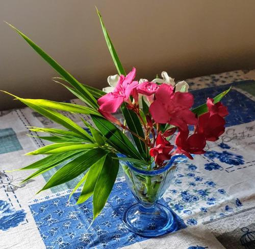 Apartamento Farm House Castelmontioni Lazise