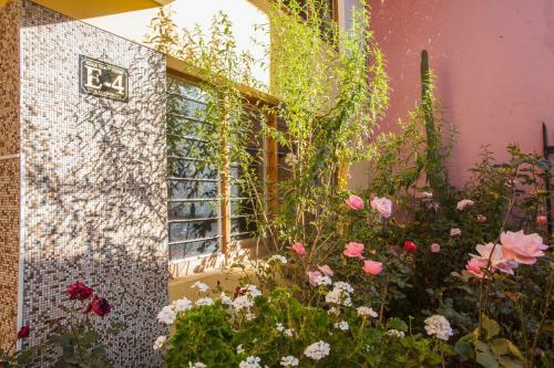 Hostal Killa Guest House