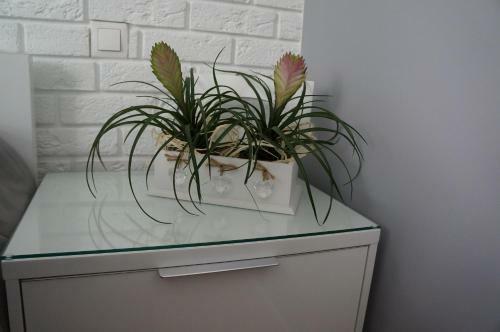 A&j Lux Apartament