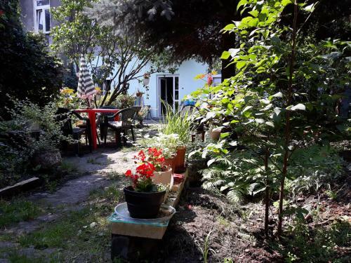 Apartament Krakowski