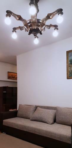 Comfy & Cosy Apartment
