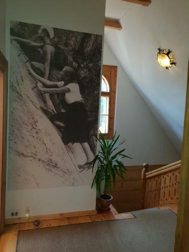 Villa Willa Schodnica