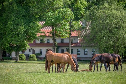 Agroturismo Szwa?k