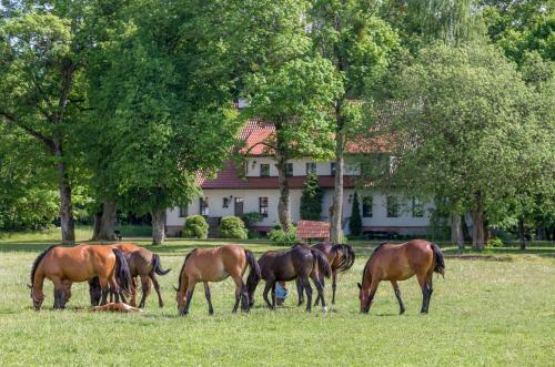 Agroturismo Szwa?k