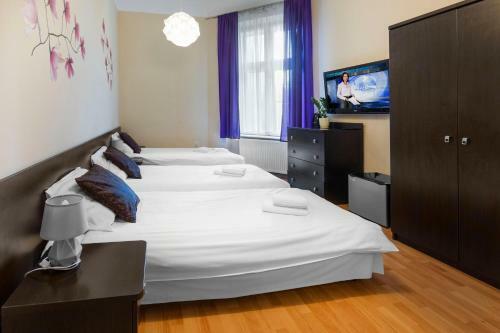 Navigator Apartments