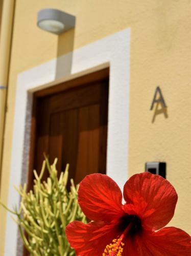 Apartamento Aurora Houses