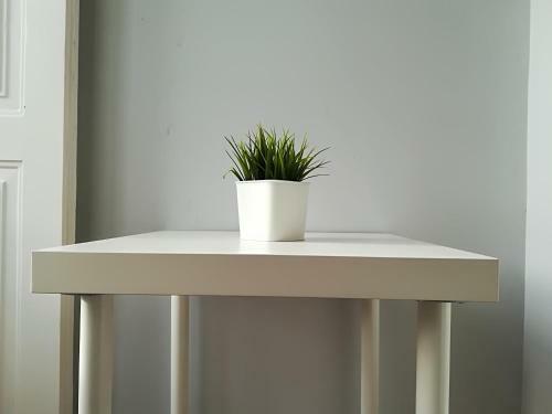 Briosa Studio Apartments