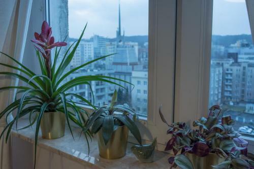 Apartament Widok�wka