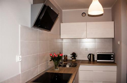 Apartamento Studio Pionier