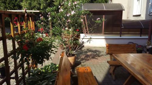 Hotelik W Centrum