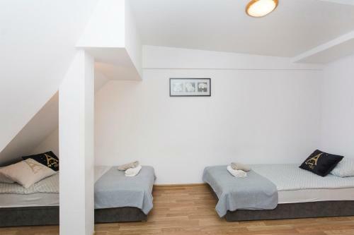 Albergue Akademikus Toru?