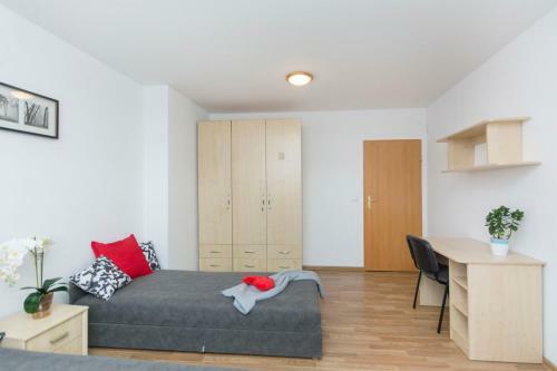 Albergue Akademikus Toru?