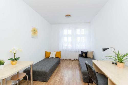 Albergue Akademikus Toru?