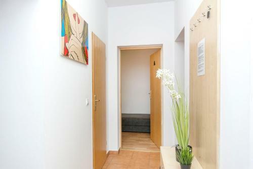 Albergue Akademikus Toru?