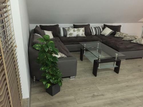 Apartamenty Balbina