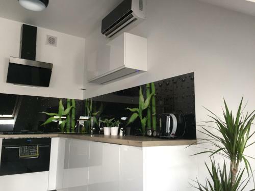 Apartamenty Balbina