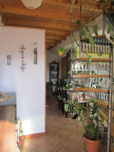 Casa No Chupal