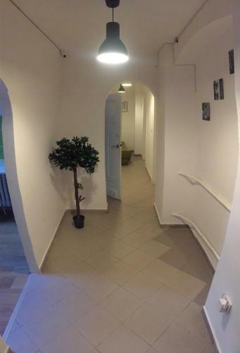 Green Hostel
