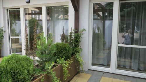 Hostal Rofel Pokoje Go?cinne