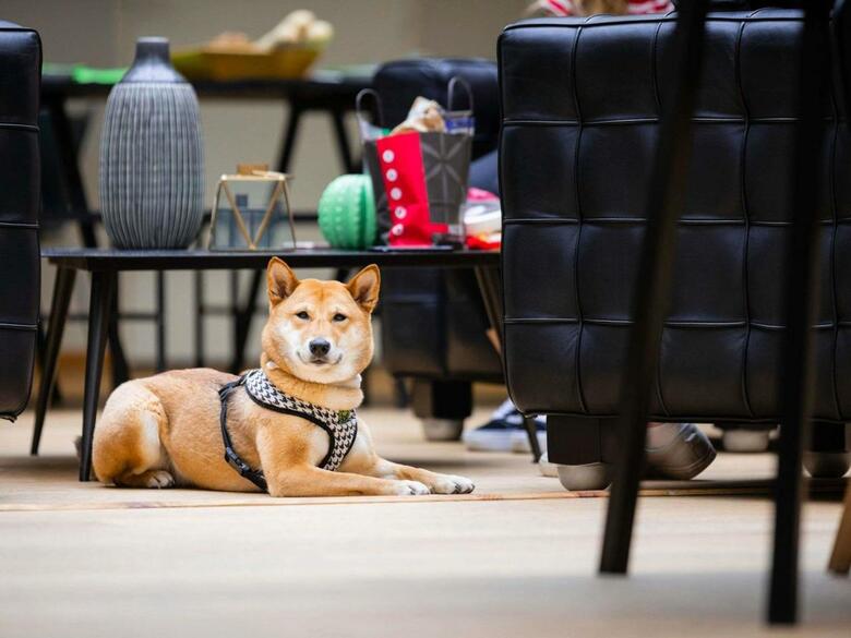 Hotel Ibis Styles Calais Centre