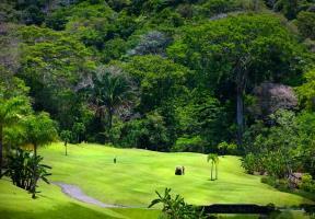 Hotel Los Suenos Marriott Ocean & Golf Resort