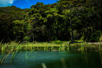 Hotel Monta�a Monteverde