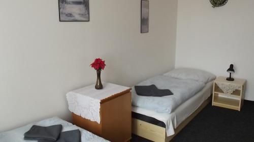 Hostal Pension 7