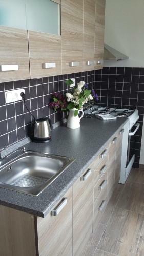 Hostal Penzion Star� Louny