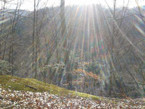 Hostal Wellness Pension Iveta