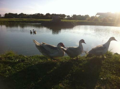 Agroturismo Swallows Rest