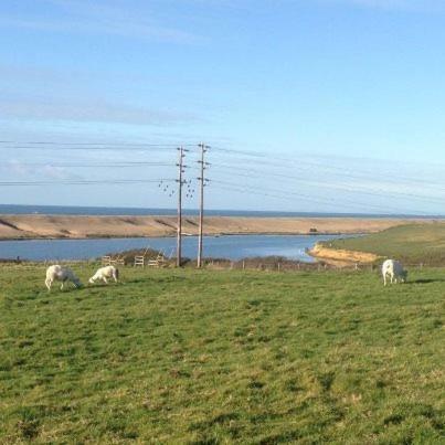 Agroturismo Swallows Rest