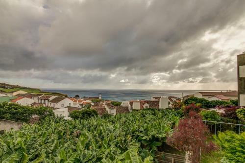 Apartamento Epicenter Lagoa