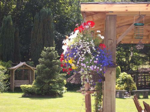 Bed & Breakfast Glenwood Guesthouse