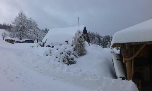 Apartments Ve?ern�k Rokytnice