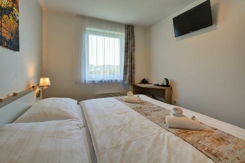 Hotel Star Lipno